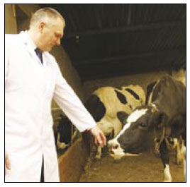 Farmers tap into dairy advantage