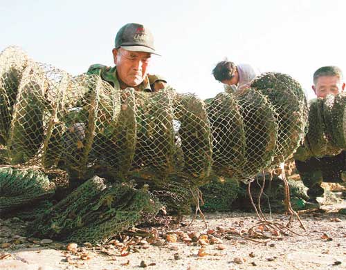 Diving into the ool leak controversy