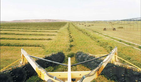 Beijing throws Utah a haymaker