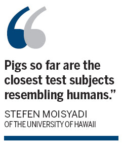 Glowing green pigs may light way to making cheaper drugs