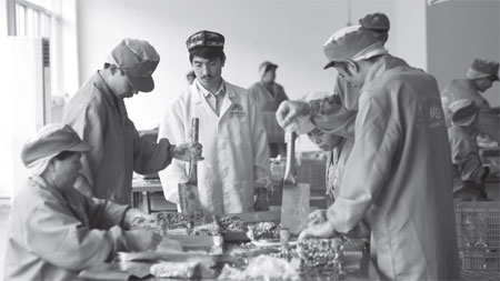 Qiegao gaining popularity