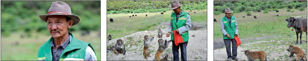 Forest ranger's dedication helps monkeys thrive