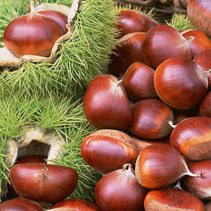 Five nuts to improve your physical quality in winter