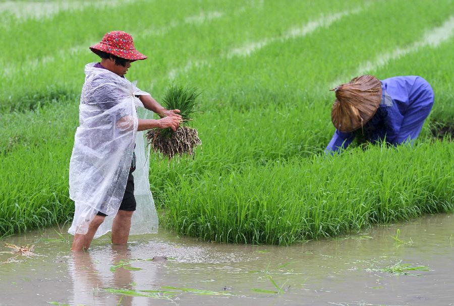 Farmers busy with planting crops in SW China