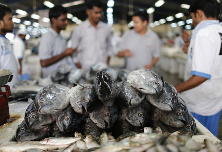 Fish market in Dubai