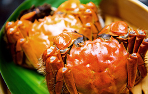Crab industry feels the pinch in frugal times