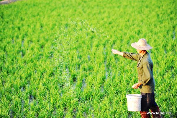 Planting season approaches in S China's Qionghai