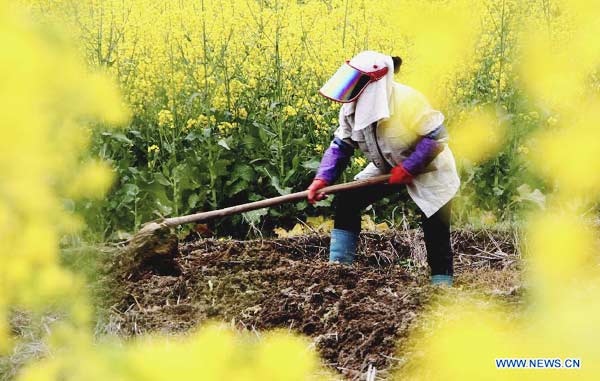 Farm work across China