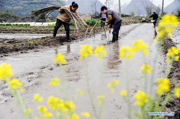 Farm work across China