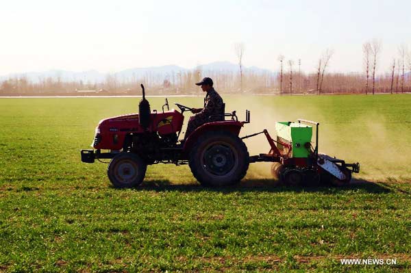 Farmers fertilize wheat as spring ploughing comes in Beijing