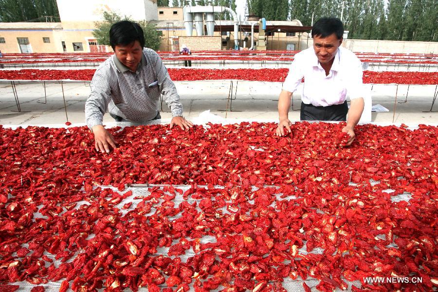 Air-dried tomatoes in Xinjiang sell well in int'l market