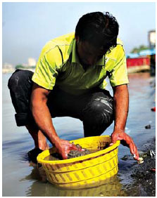 Baghdad's gold rush deep in the sewers