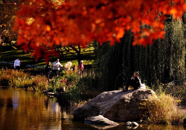 Deep autumn colors of Central Park