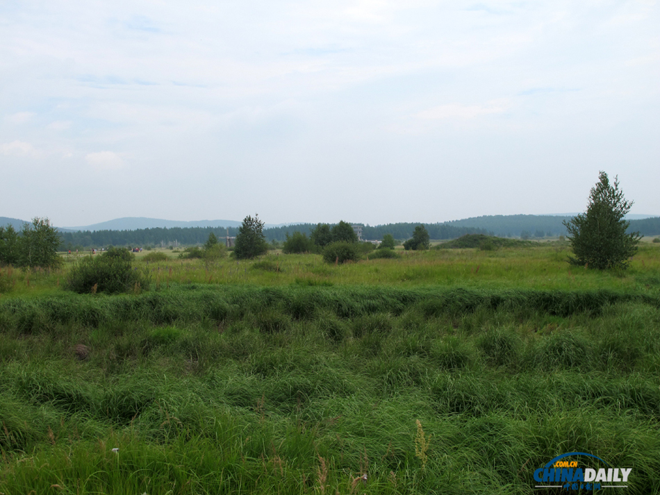 Picturesque view of Saihanba