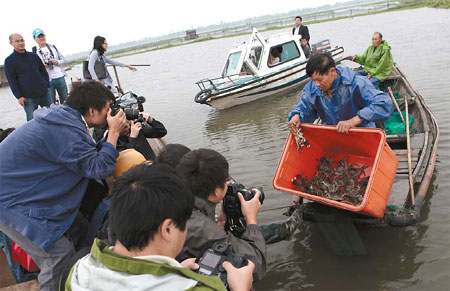 Falsely labeled crabs upset the market