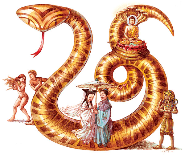 Co znamená čínský had?