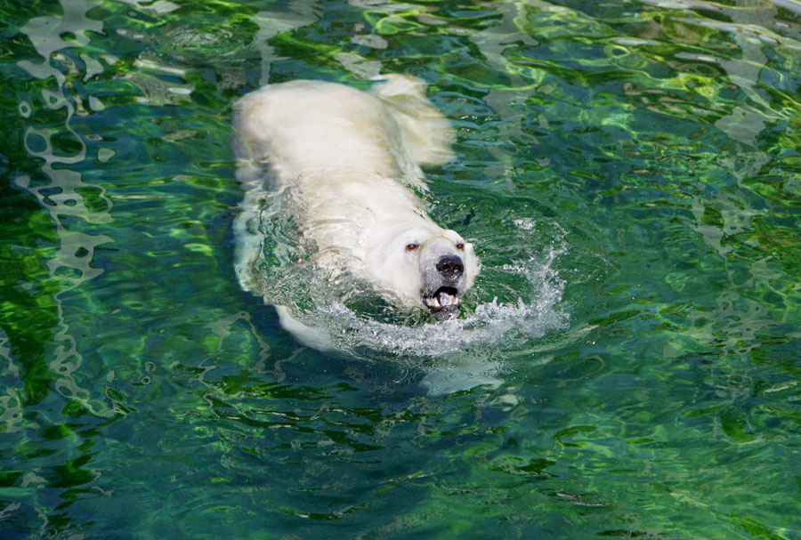 It's hot, take a shower!