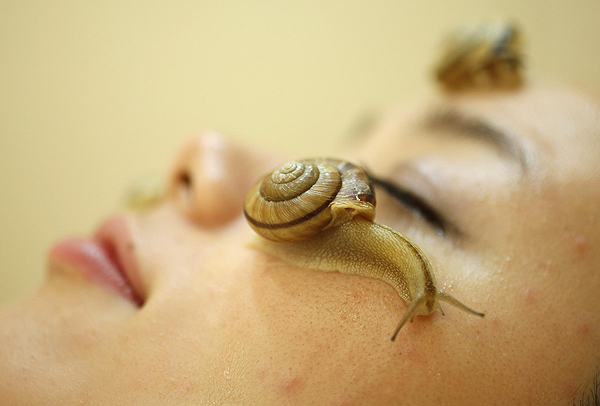 Snail facials: Japan's new beauty trend