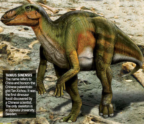 Dinosaur village offers new body of evidence