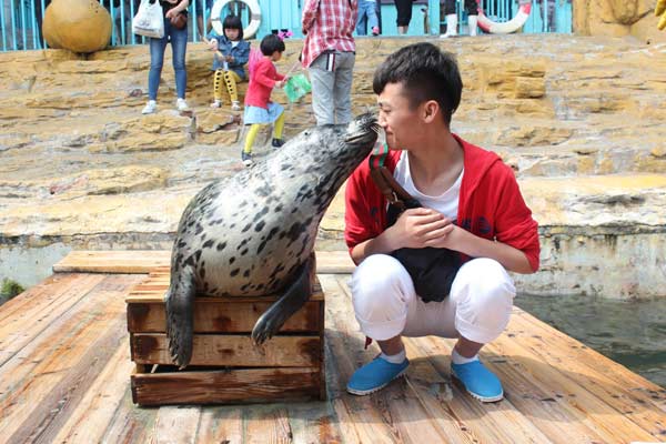 Breeding area in Bohai Sea slated to get better protection