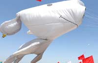 Lixia, summer begins