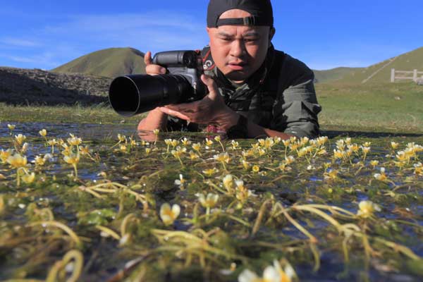 Surviving as a wildlife photographer