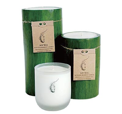 Eco-conscious Christmas gifts