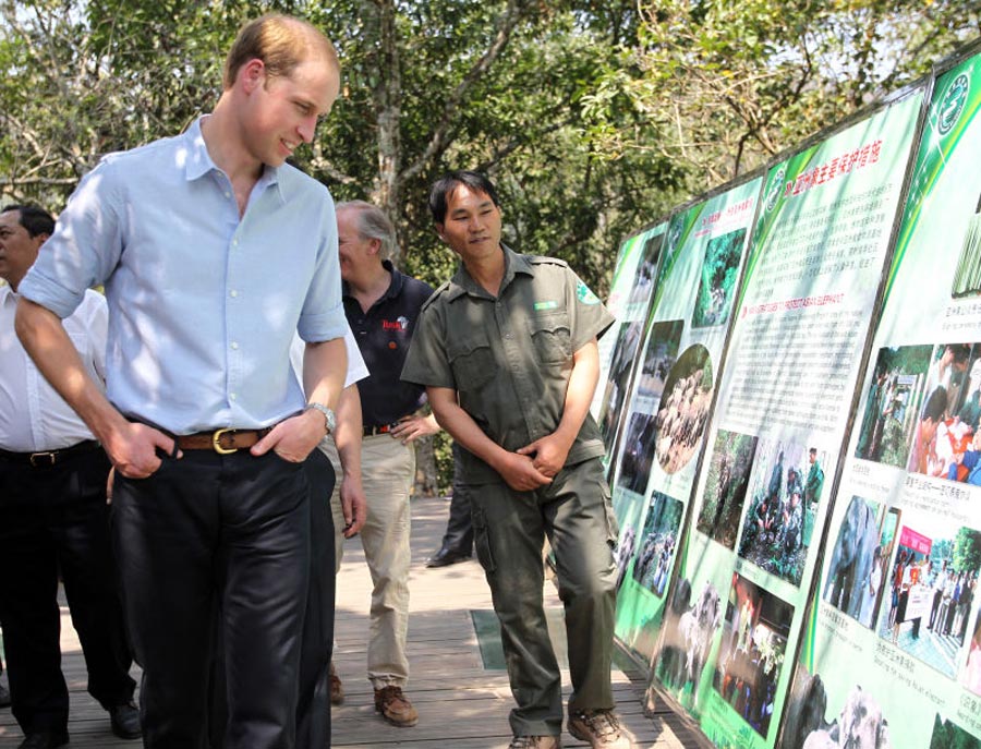 Prince William visits Asian elephant park in SW China