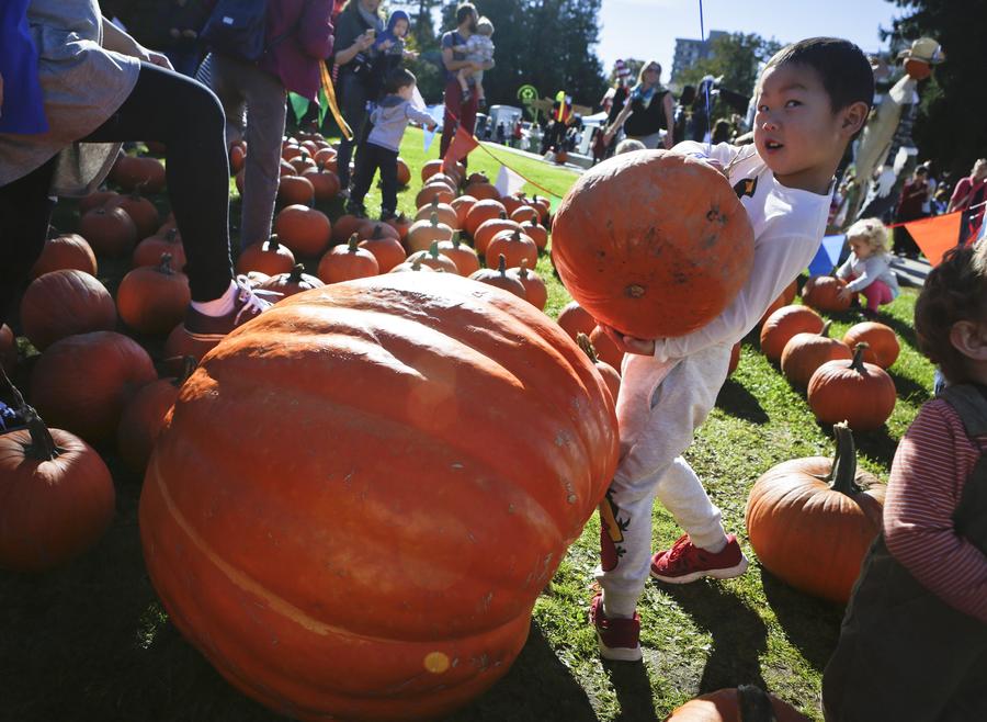 Pumpkin Festival celebrated in Vancouver, Canada