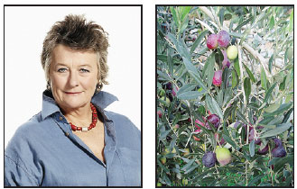 Shanghai-born Brit eager to bring olive oil to China