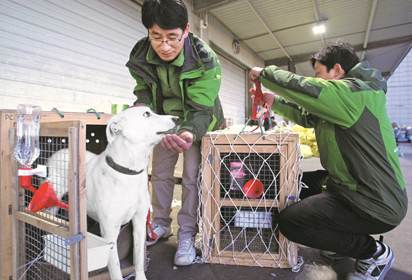 As pets become like family, relocation services boom