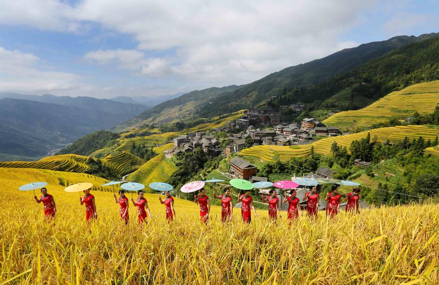 Women present cheongsam at Ping'an terrace field in Guangxi