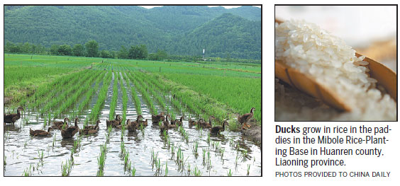 A county where ducks tend to organic rice paddies