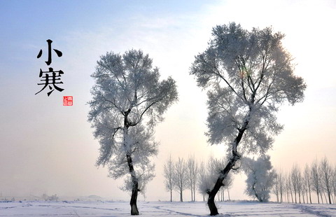 Keeping abreast of films, <em>TV</em> programs|Op-<em>Ed</em> 