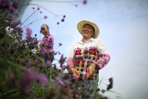 A flower paradise in northern Guizhou
