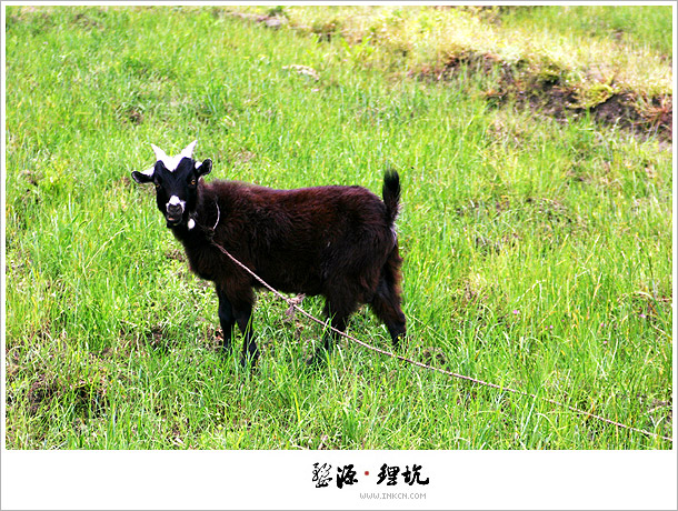 Wuyuan, East China's Jiangxi province