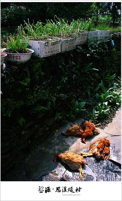 Wuyuan, East China's Jiangxi province