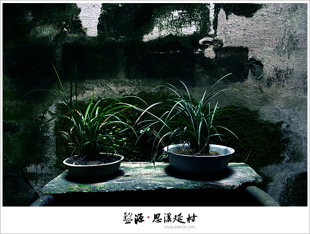 Wuyuan, East China's Jiangxi province