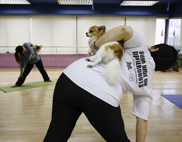 Dog yoga lessons in HK