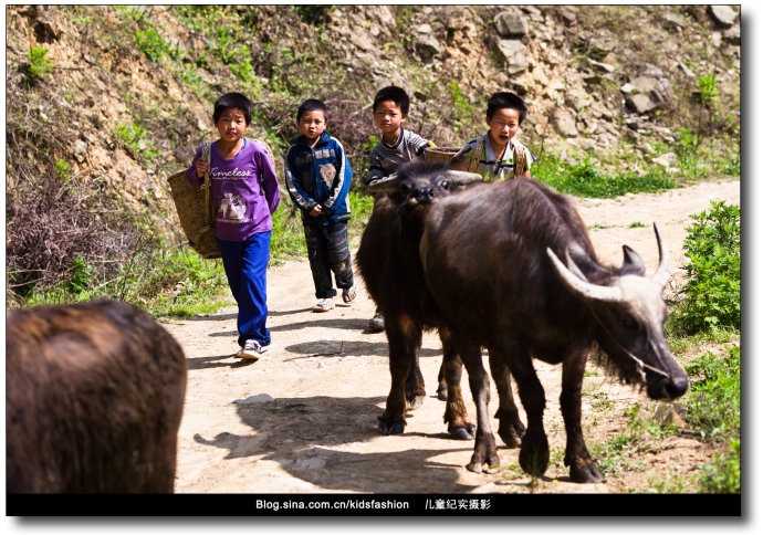 Photographer:Yang Yang