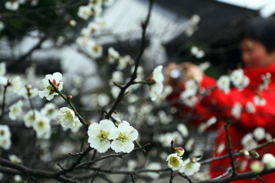 In photos: Spring, a time of renewal