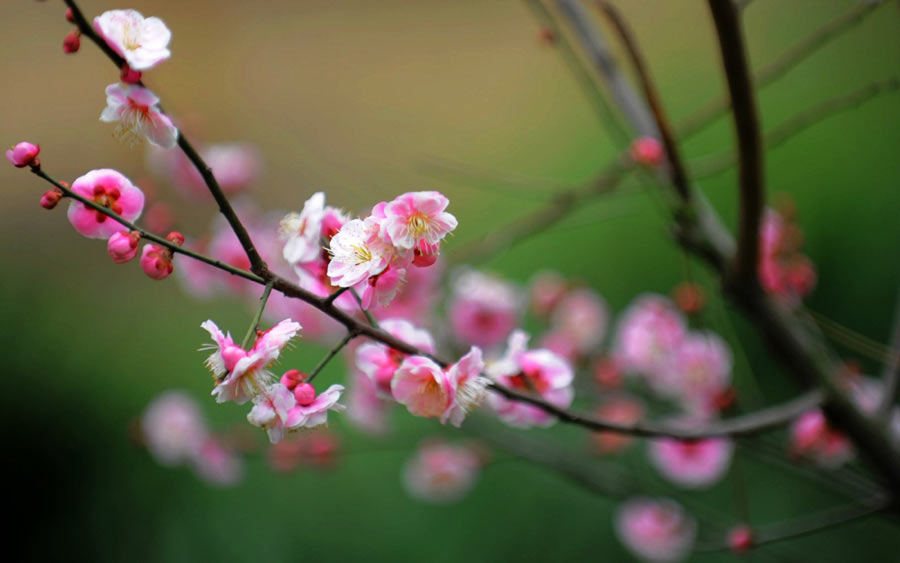 In photos: Spring, a time of renewal