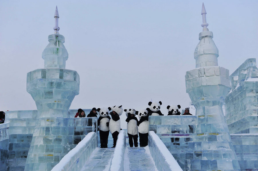Visitors enjoy ice world