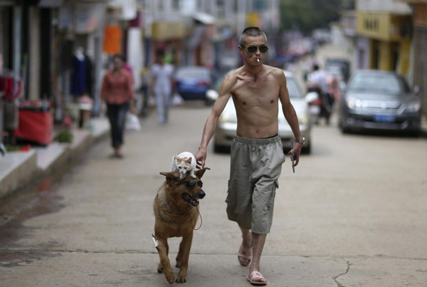 Man walks dog and cat