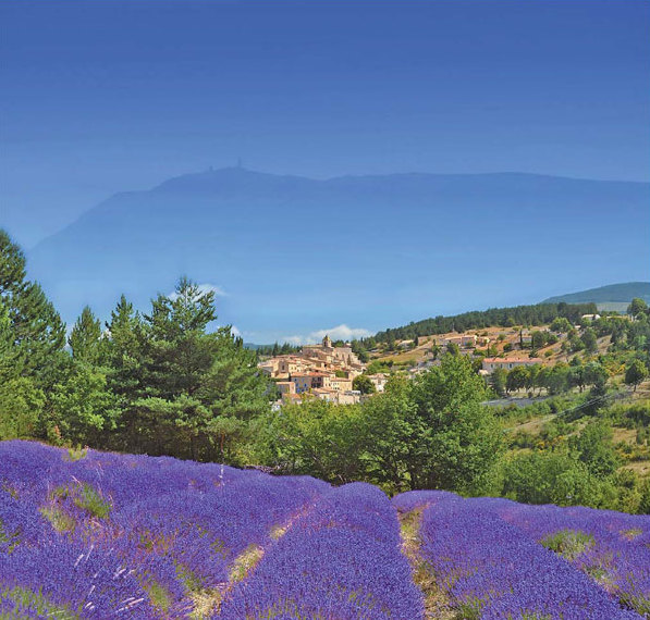 The charms of Provence