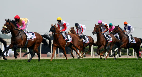 British jockey Royston Ffrench wins Chengdu Dubai Intl Cup