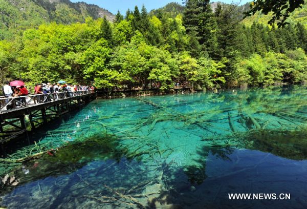 Jiuzhaigou tourism industry recovered after quake