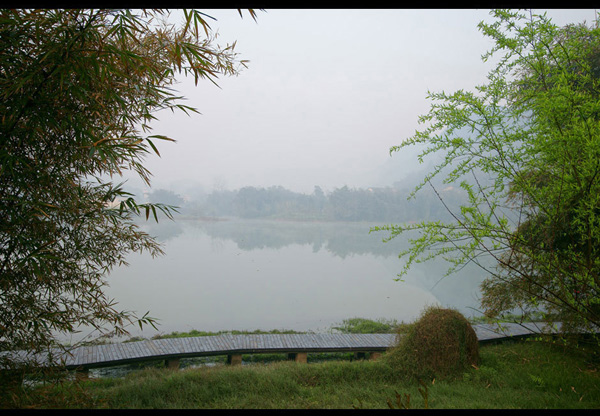 South Sichuan bamboo sea