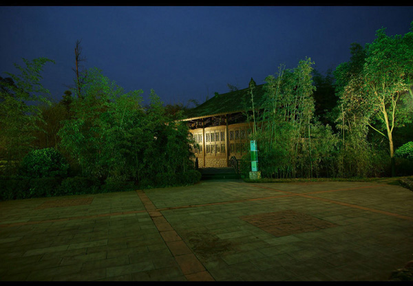 South Sichuan bamboo sea