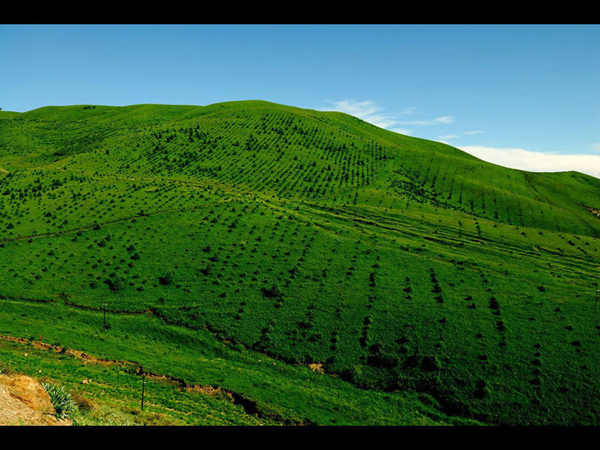 Amazing Yili River Valley in Xinjiang